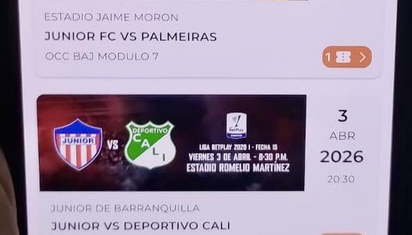 Boleta de aficionado abonado que no pudo ingresar al Romelio Martínez,