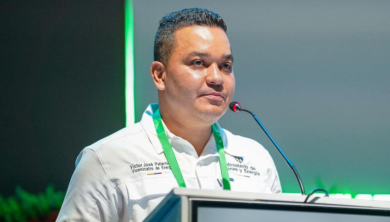 Víctor Paternina, viceministro de Energía. 