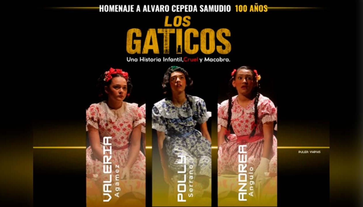 'Los gaticos'.
