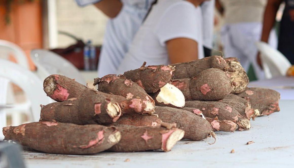 La yuca será protagonista. 