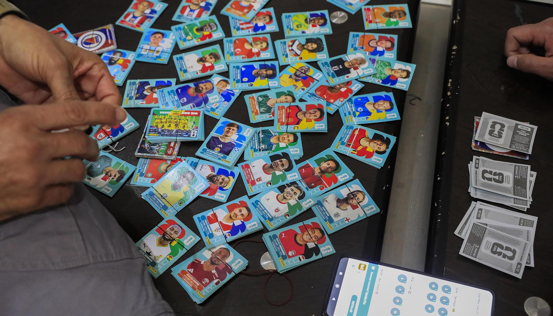 Lámina del Panini.