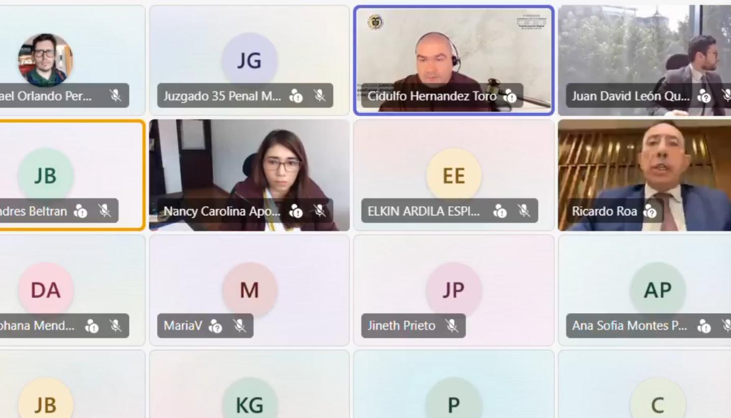 Audiencia contra Ricardo Roa.