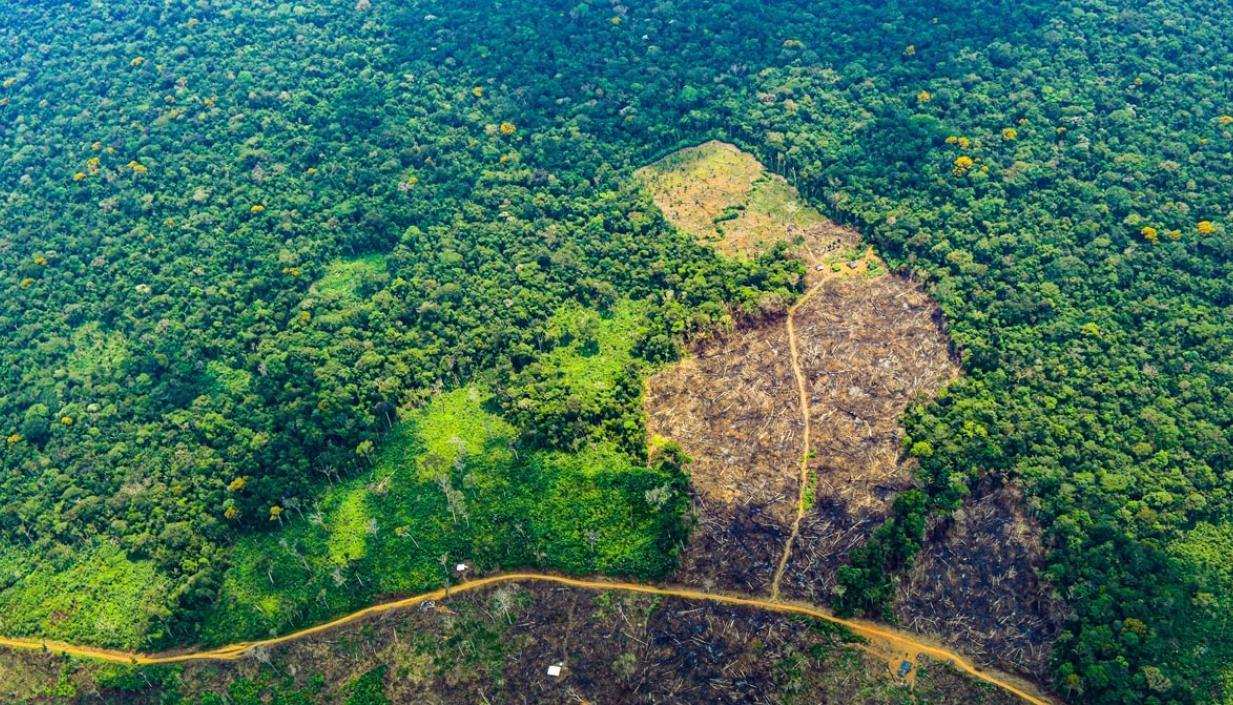 Crisis ambiental y de seguridad en la Amazonía amenaza a comunidades indígenas.