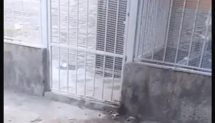 Lugar del atentado en El Concord, en Malambo
