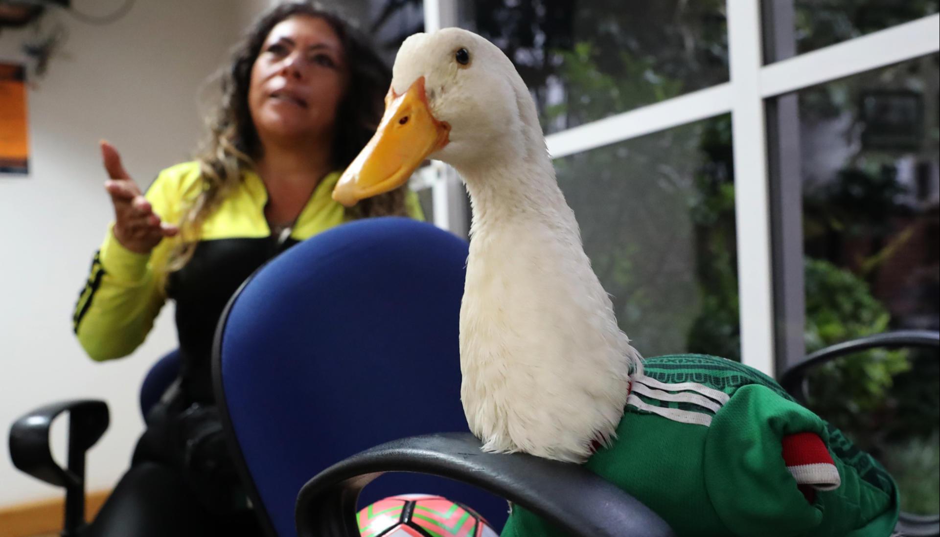 Merlín con su dueña, Karla Gómez.