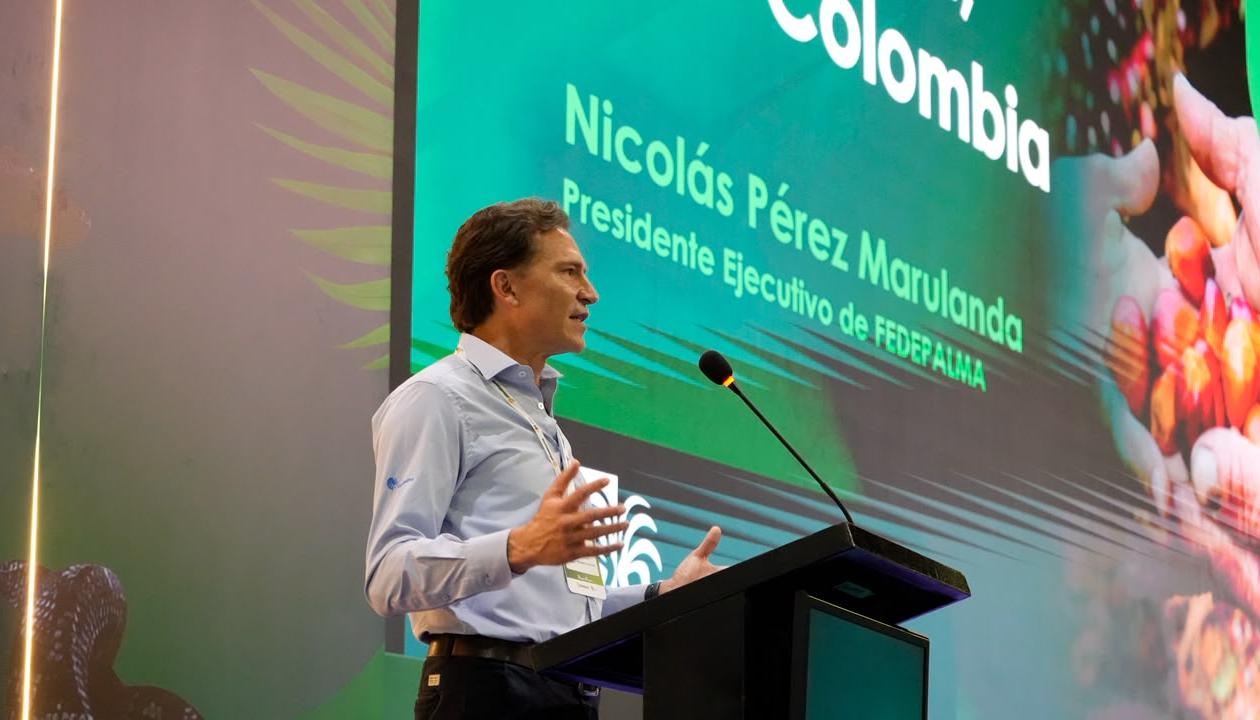 Nicolás Pérez Marulanda, presidente Ejecutivo de Fedepalma.