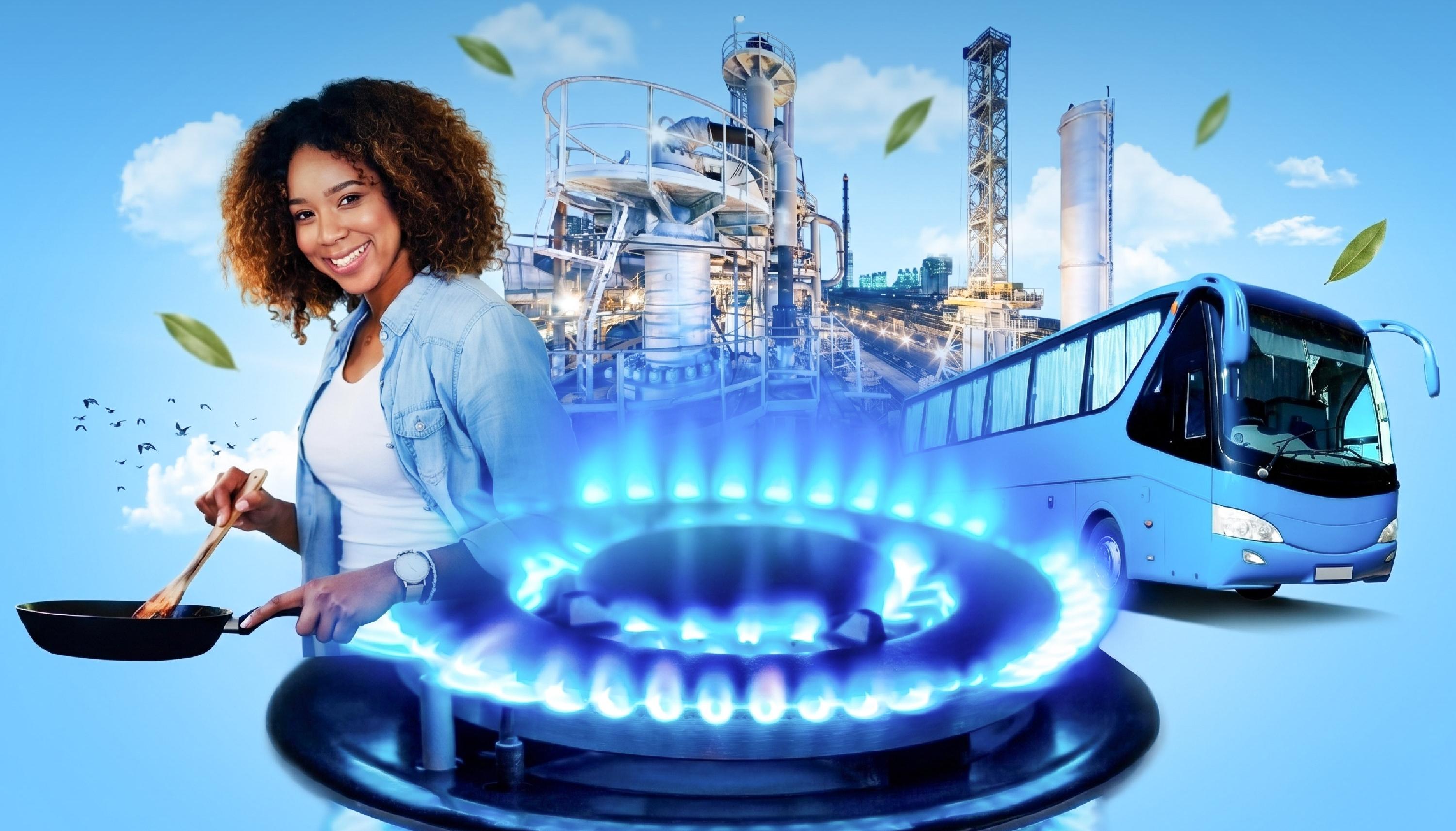 Uso del Gas Natural