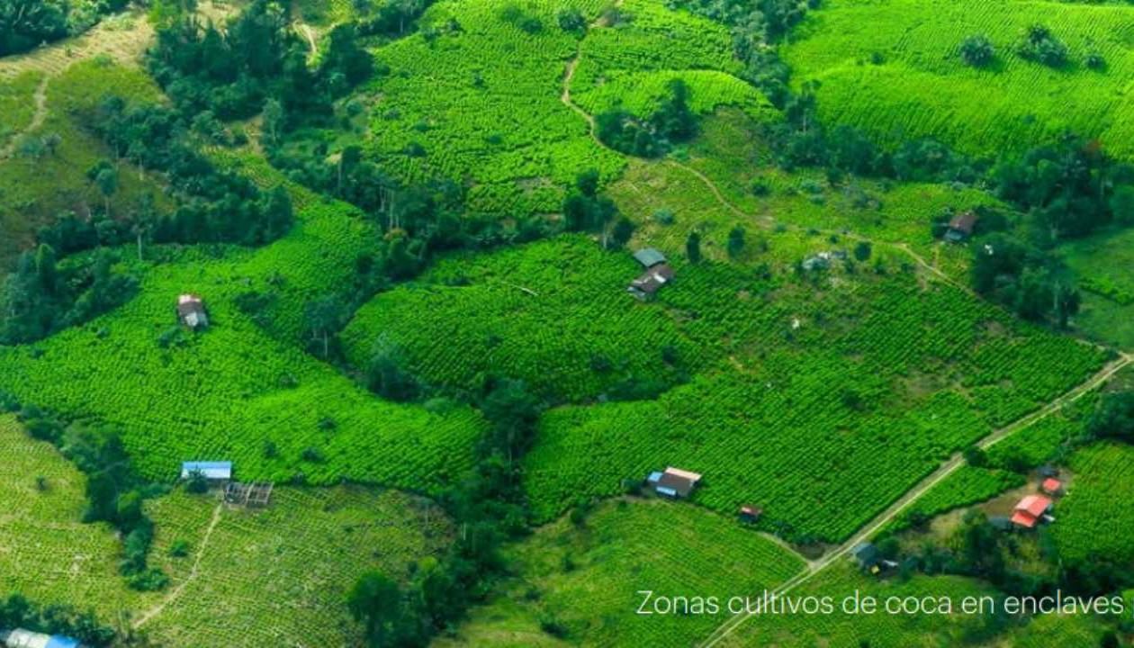Zona de cultivos de coca.