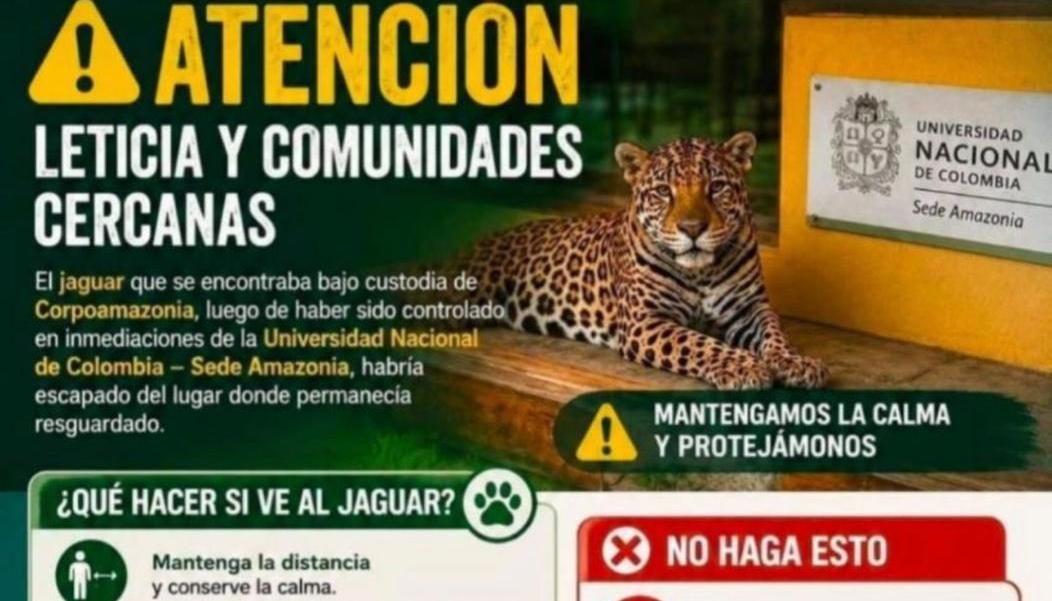 Afiche informativo. 