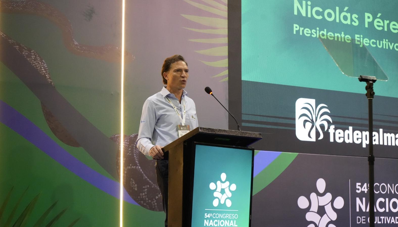 Nicolás Pérez Marulanda, presidente Ejecutivo de Fedepalma.