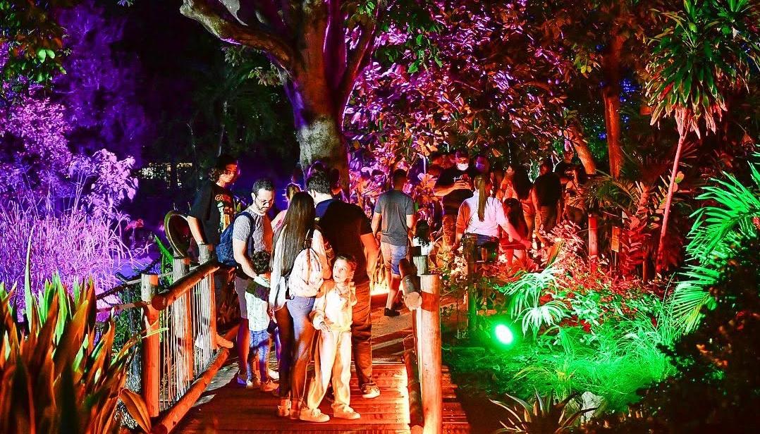 Safari nocturno.