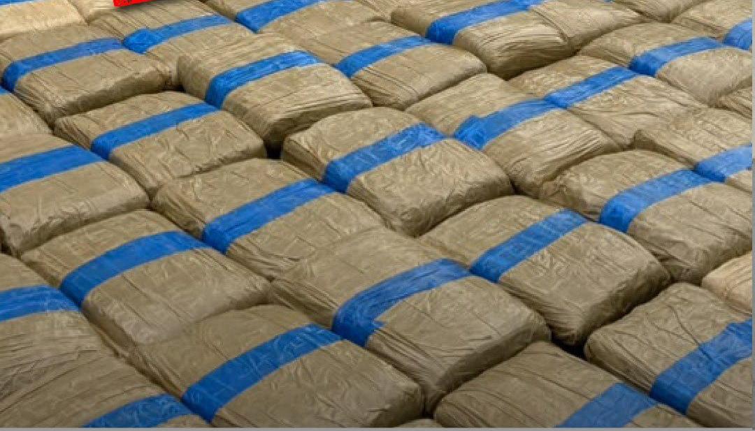 Marihuana incautada por las autoridades de Ecuador. 