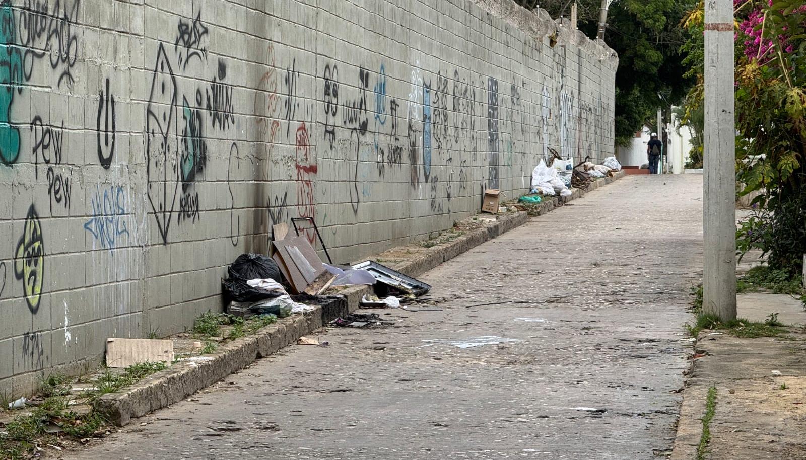 Callejón donde fueron encontrados los dos perros en un costal. 