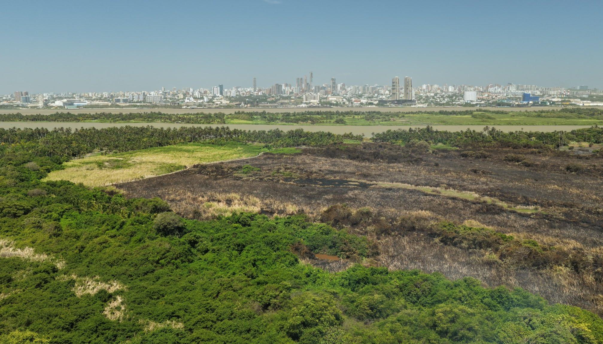 Parque Isla Salamanca.