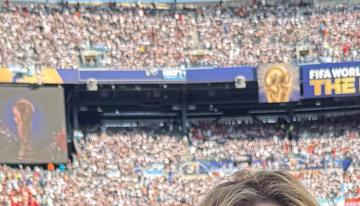 Shakira en la final del Mundial. 