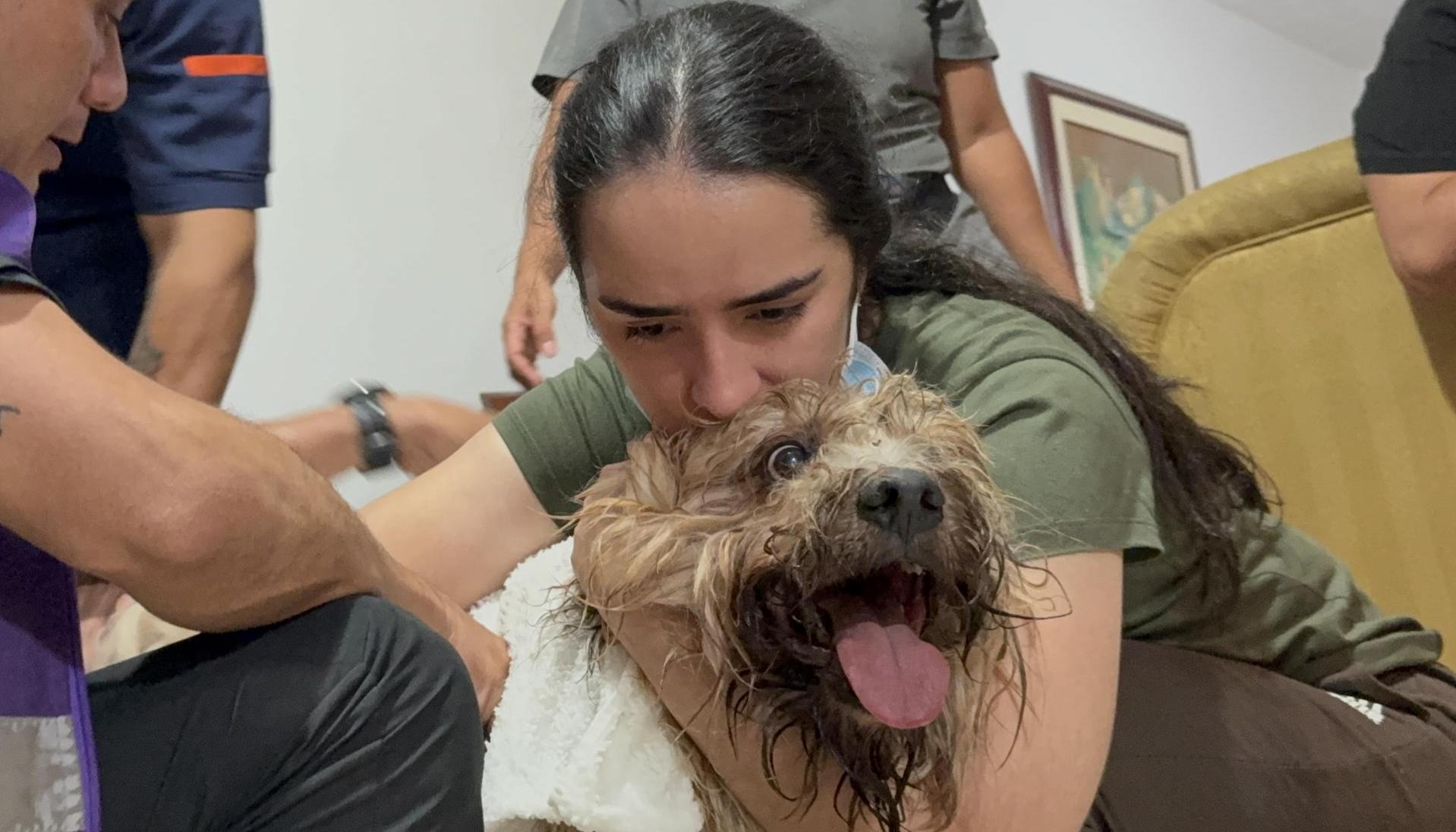 'Antonio' tenía lesiones en una de sus patas y varias raspaduras
