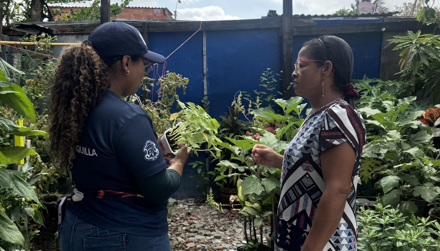 El abono será usado para que las plantas crezcan sanas. 