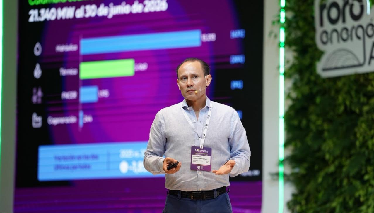 Alejandro Castañeda, presidente Ejecutivo de Andeg.