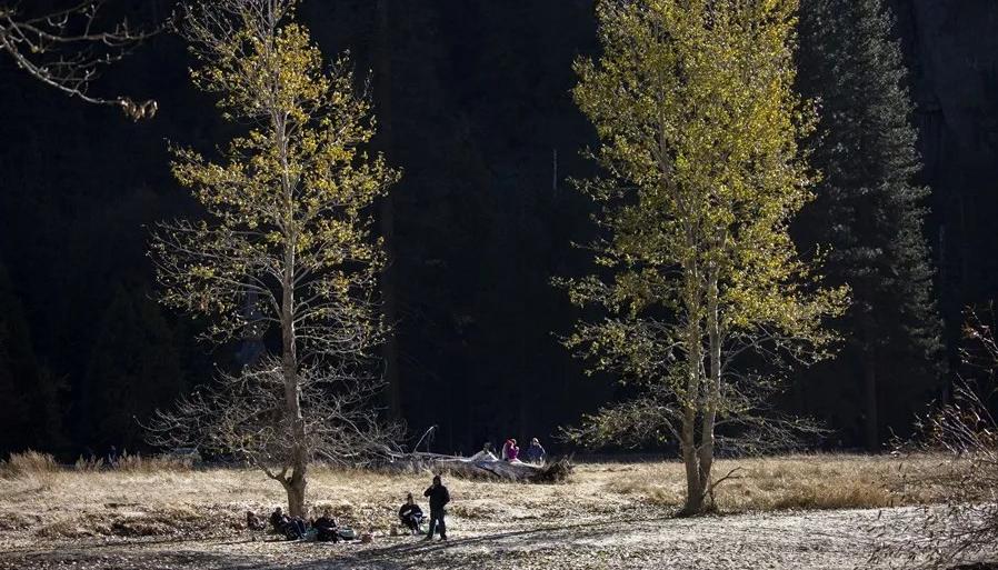 La norma no prevé aplicarse a los bosques nacionales de Colorado e Idaho.