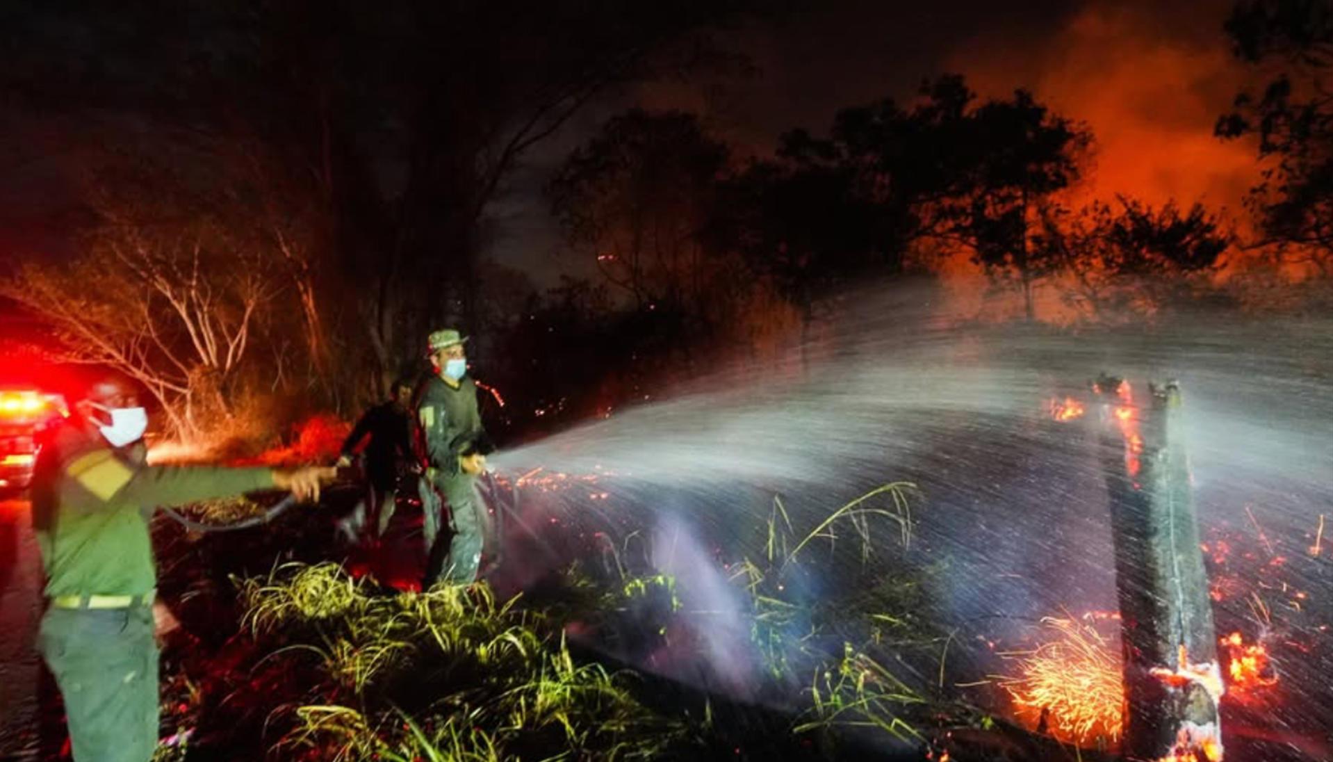 Incendios forestales en el departamento del Tolima. 