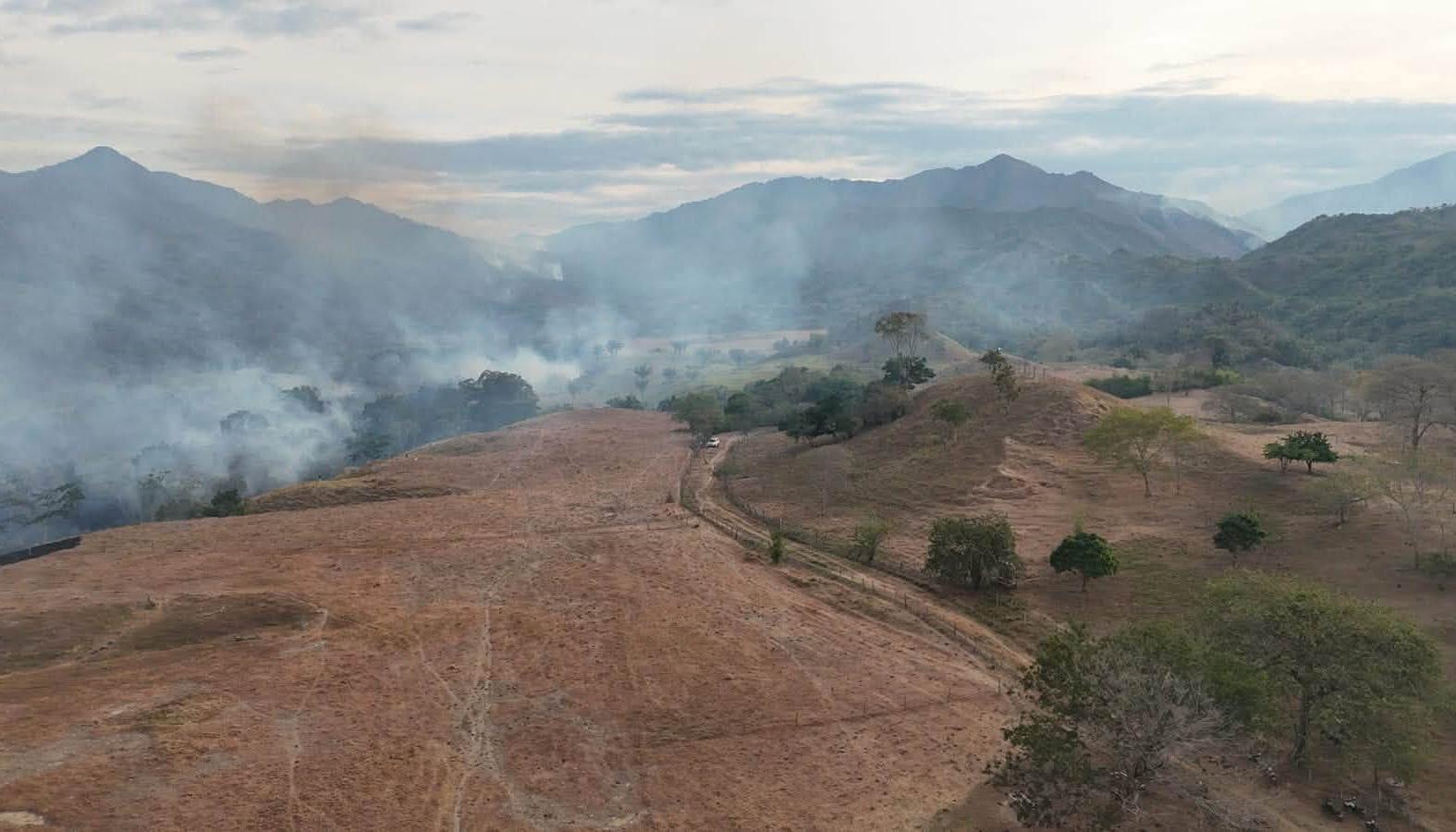 Imagen de uno de los incendios.
