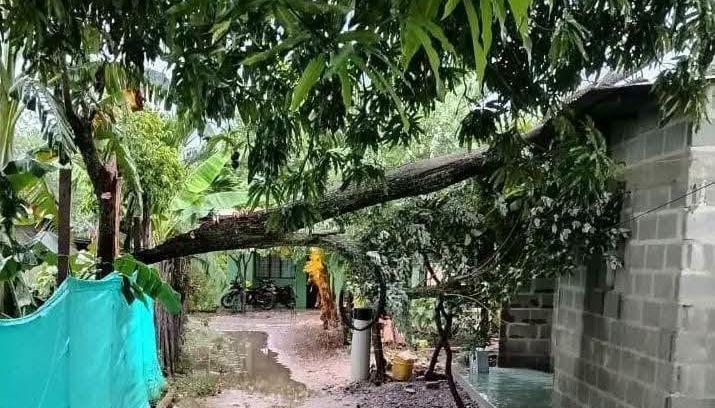 Vendaval en Juan de Acosta
