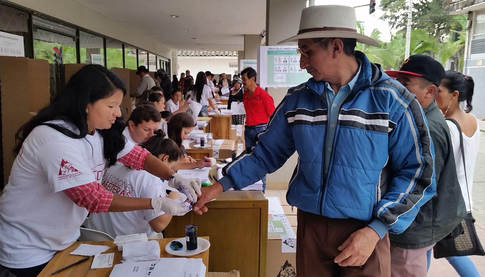Elecciones de productores de café será el 5 y 6 de septiembre en forma presencial.