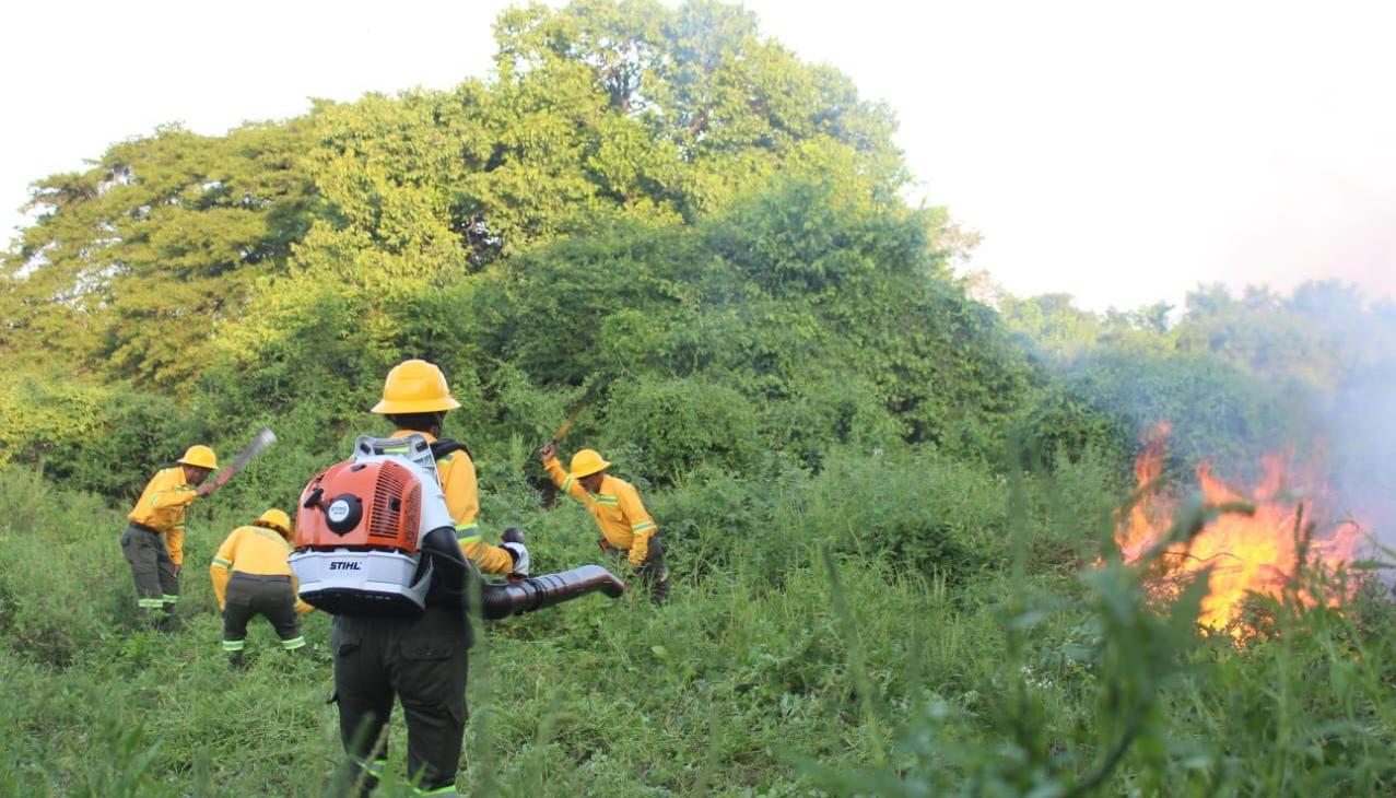 Organismos de socorro atienden emergencia por incendio forestal. 