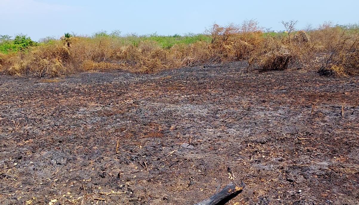 El fenómeno de El Niño incrementa los riesgos de incendios forestales. 