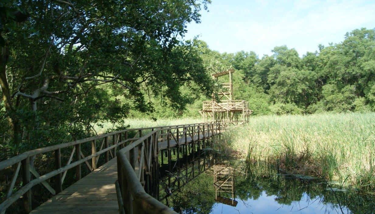 Vía Parque Isla Salamanca.