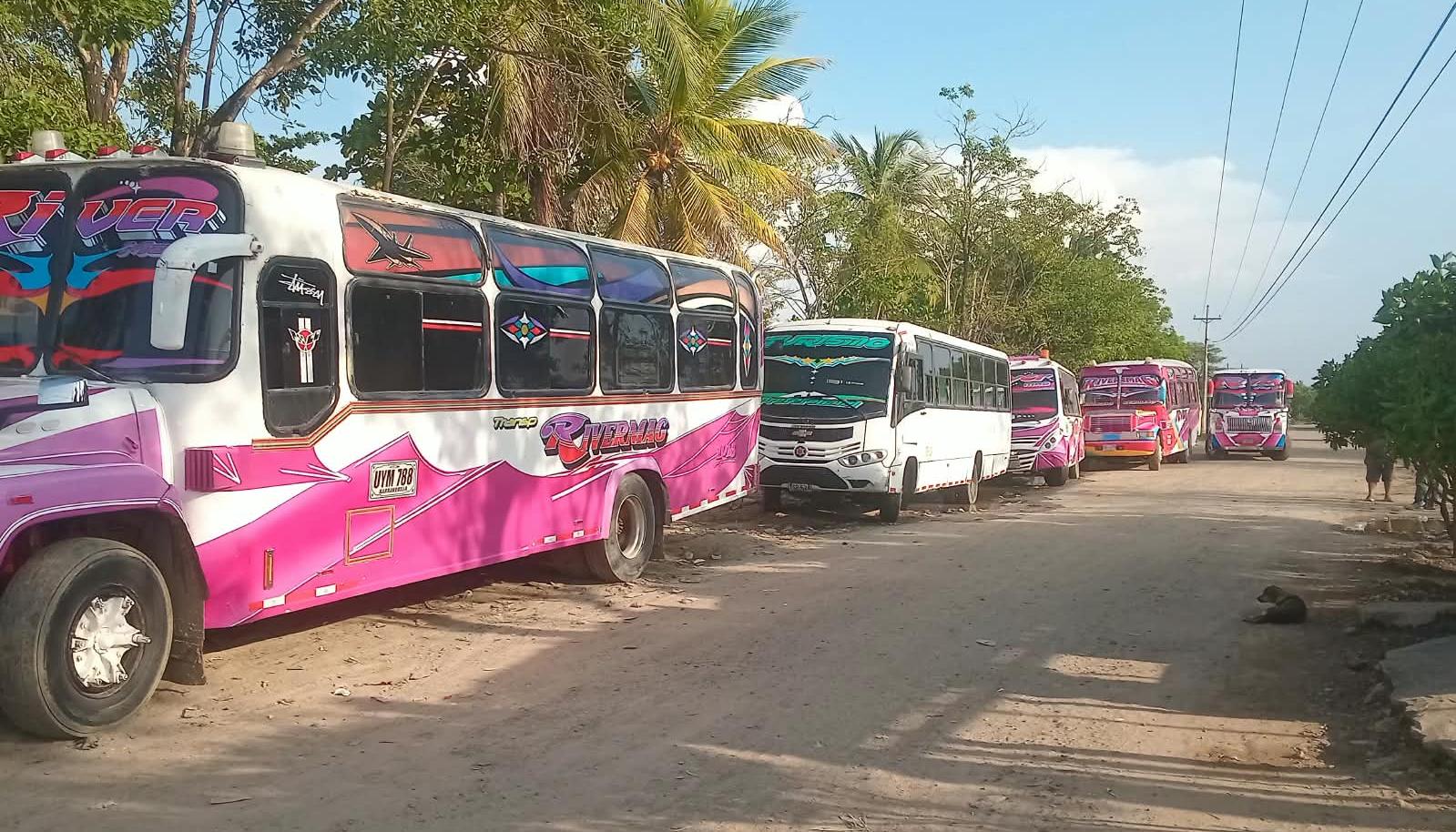 Buses de Riomag.