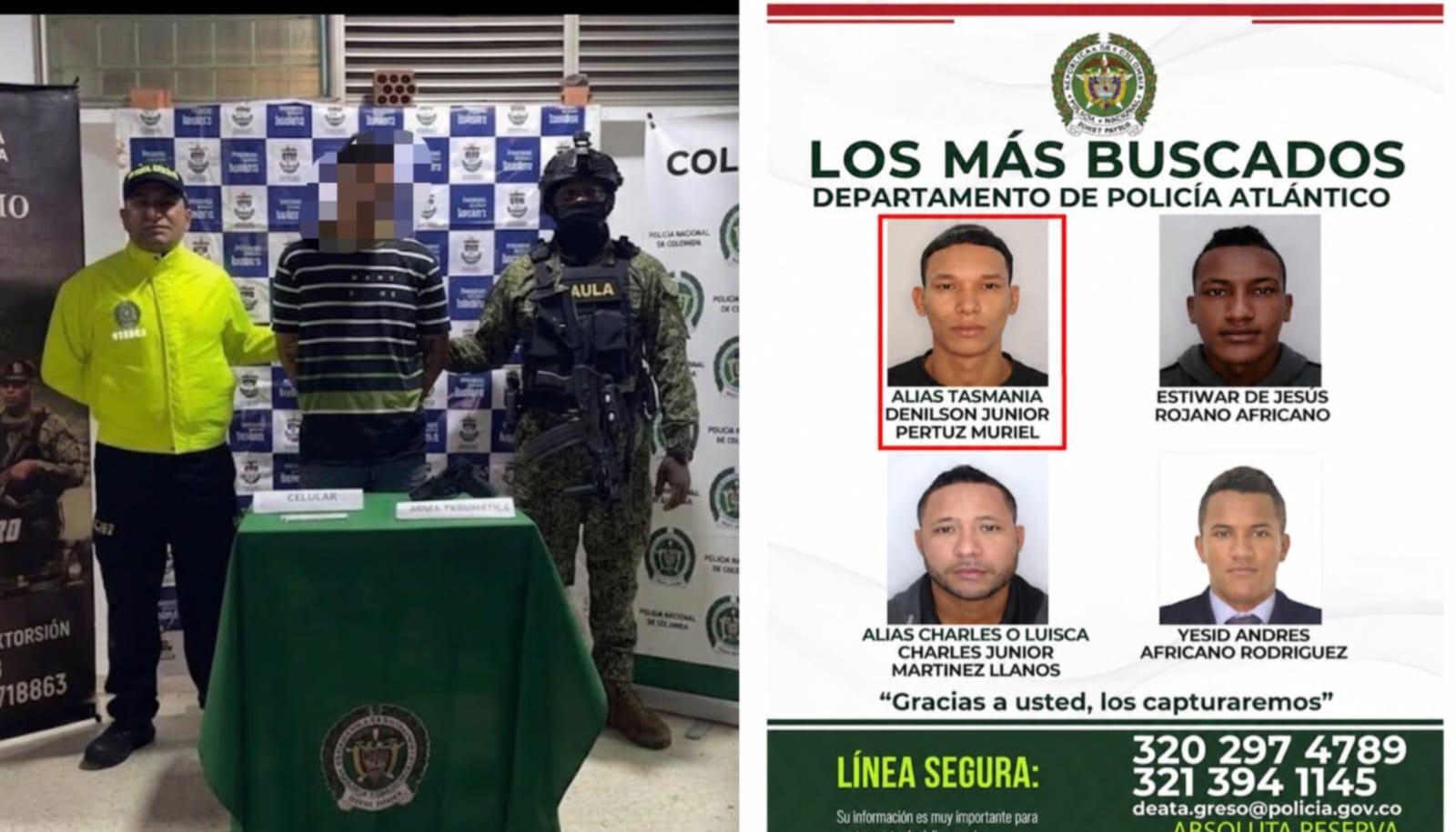Danilson Junior Pertúz Muriel, alias ‘Tasmania’