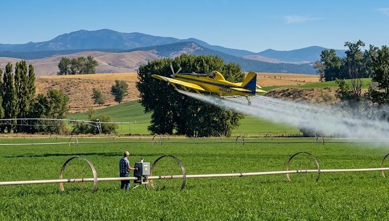 Fumigación aérea.