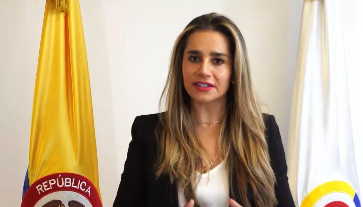 Jenny Lindo Díaz, delegada para la Economía y las Finanzas Públicas de la Contraloría.