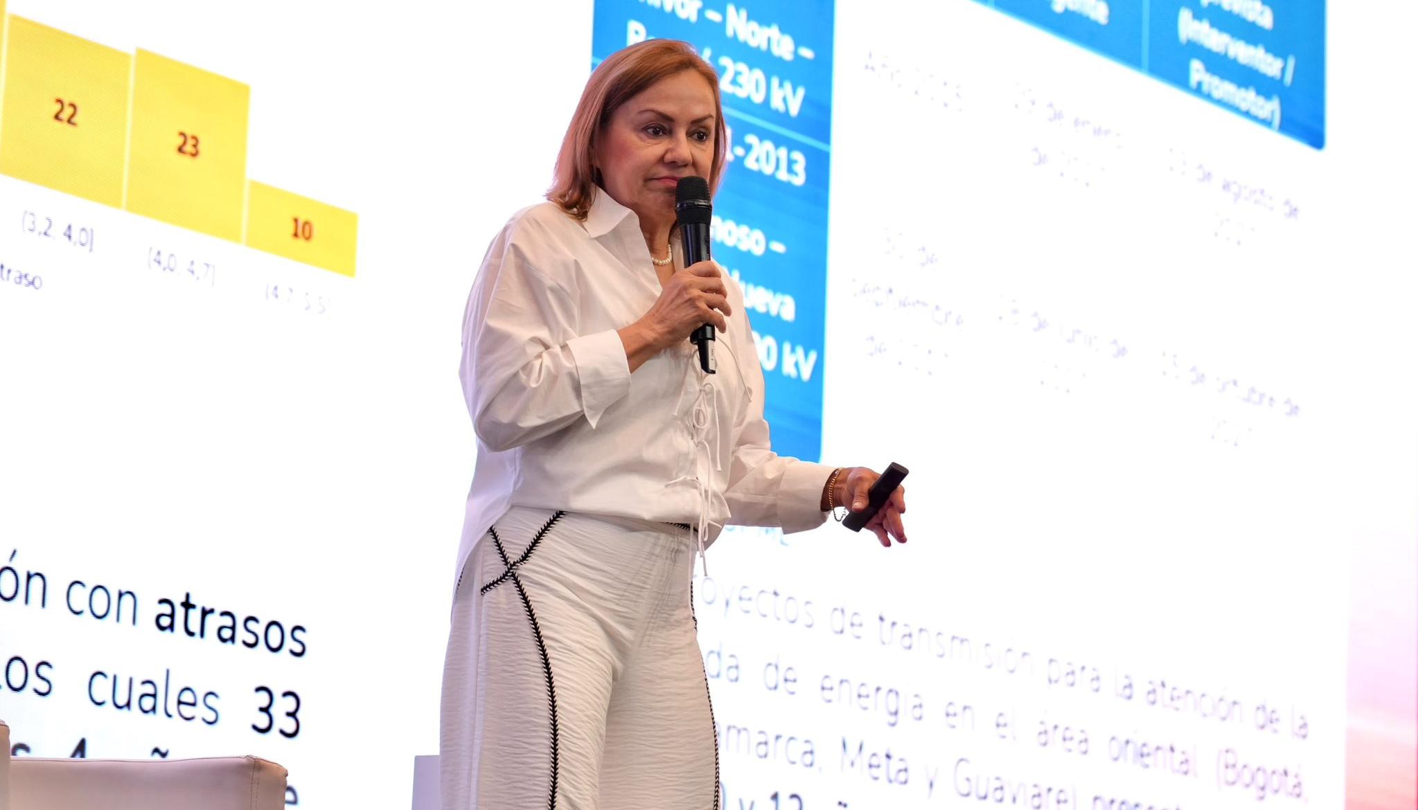 María Nohemí Arboleda, ministra de Minas y Energía.
