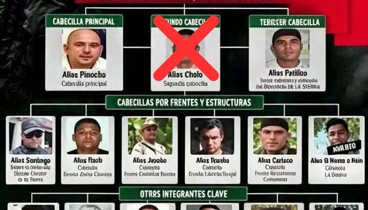 Organigrama de las ACSN