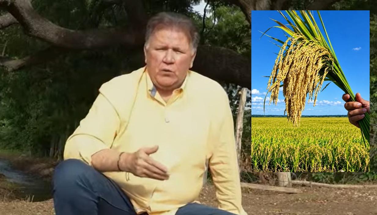 El Ministro de Agricultura, Indalecio Dangond, y un cultivo de arroz.
