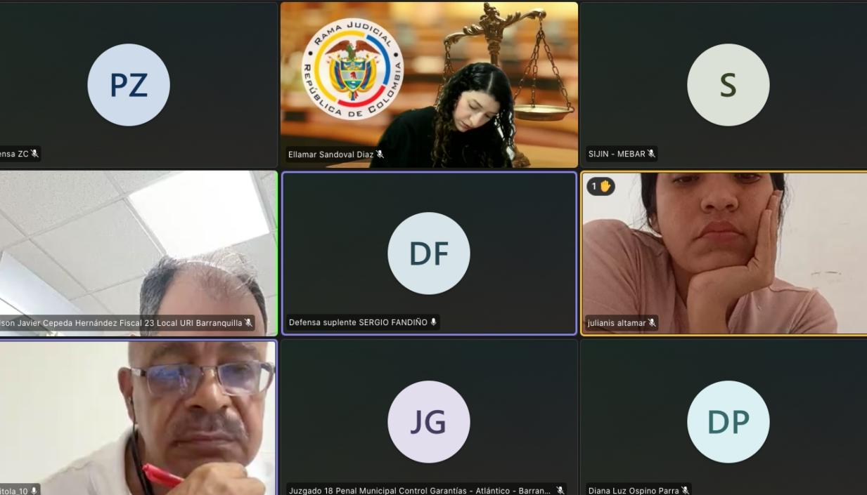 Julianis Altamar durante la audiencia virtual de este miércoles. 