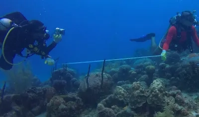 El director de Corales de Paz, Phanor Montoya Maya, y el fundador del Movimiento Ambientalista Colombiano, Camilo Prieto, mientras toman datos del proceso de crecimiento en una guardería de coral