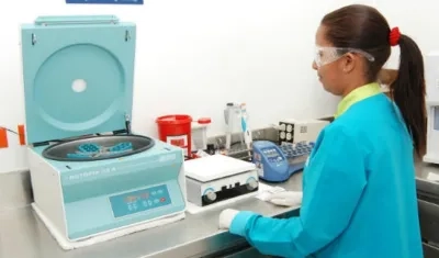 Una vez otorgada la licencia de transformación, las firmas pueden recibir su licencia de cultivo, si la han solicitado.