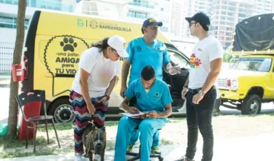 Imágenes de la Segunda Animalatón.