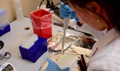  La enfermedad es causada por la bacteria "Mycobacterium tuberculosis", que casi siempre afecta a los pulmones.