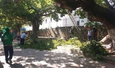 Grupo de trabajo en la recuperación de las bongas.