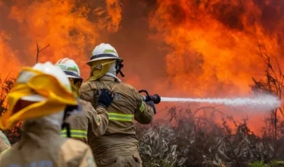 Entre el domingo y el lunes se contabilizaron 700 fuegos.