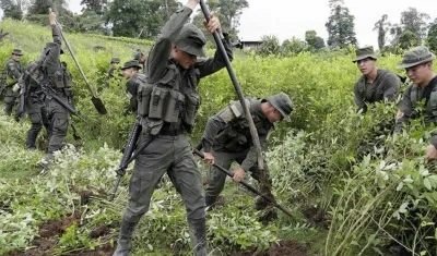 Erradicación de cultivos ilegales en el sur de Colombia