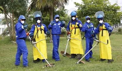 Operarios del equipo de corte de césped de la Triple A.