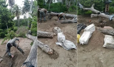 La droga estaba enterrada en 14 bultos, que fueron sacados por hombres de la Armada Nacional.