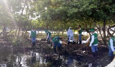 Los residuos sacados de la Ciénaga fueron llevados a la orilla.
