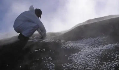 Se trata de un catálogo de referencia diverso de microbios y microbiomas en la Tierra.