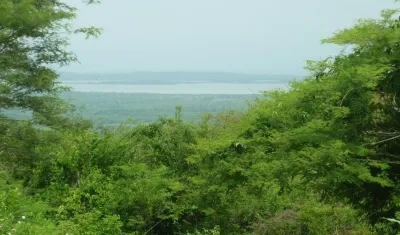 Área protegida Palomar, en Piojó, Atlántico.